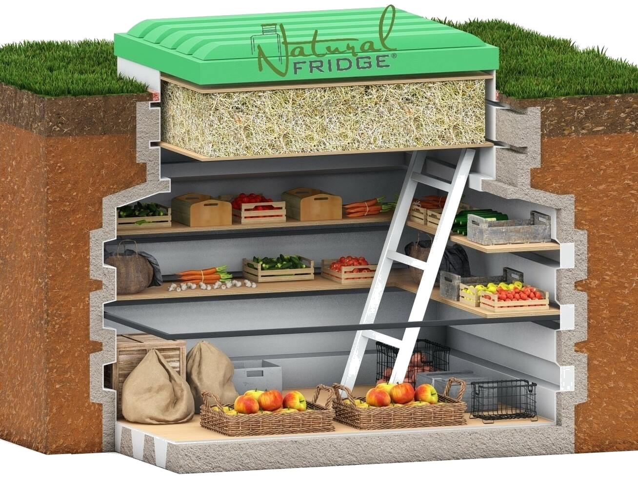 cellary-garden-cellar-diameter-1.2x1.6m-2-rows-of-shelfs-cut2-transparent