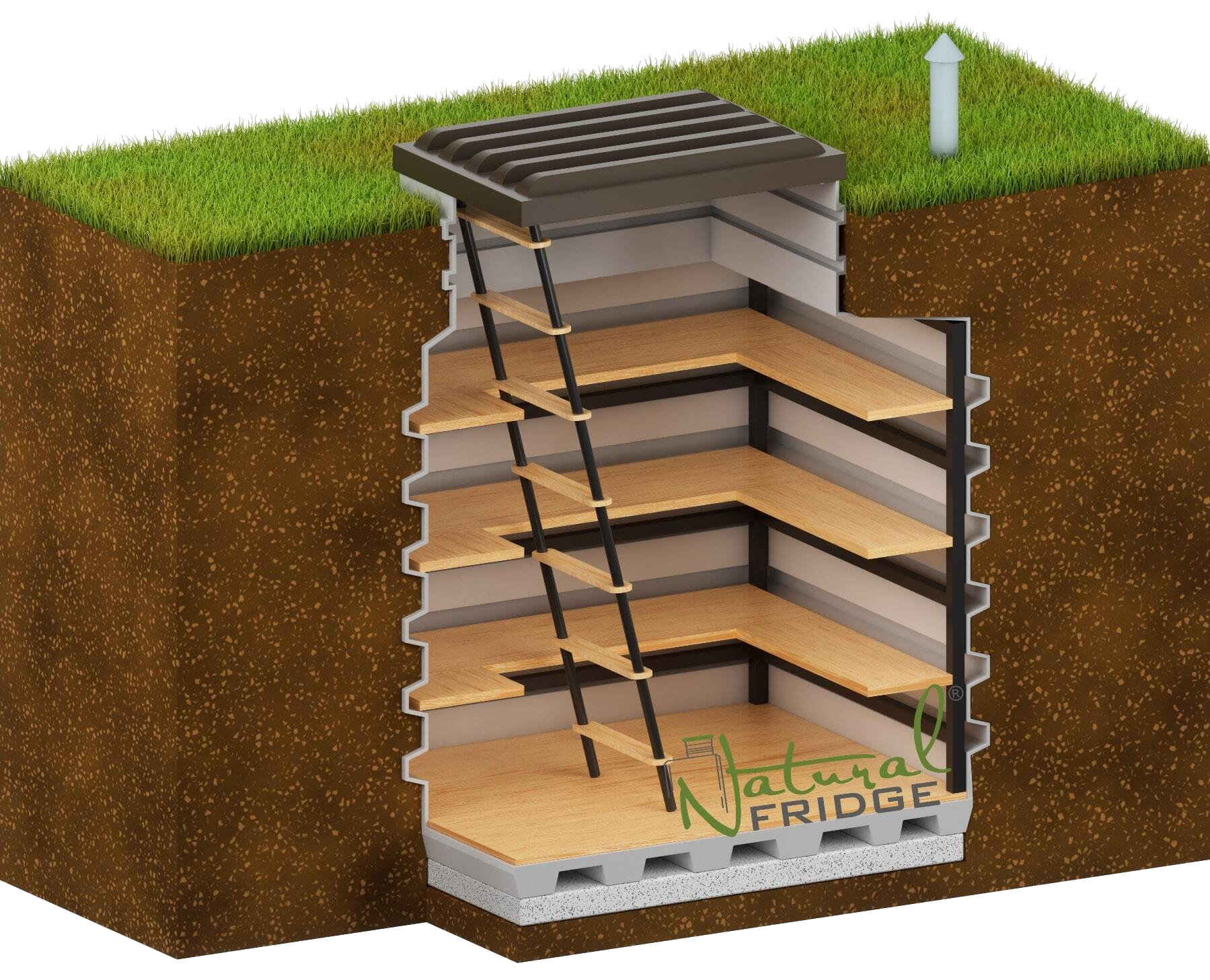 Transparent cellar 130x160 natural fridge in ground cut preview